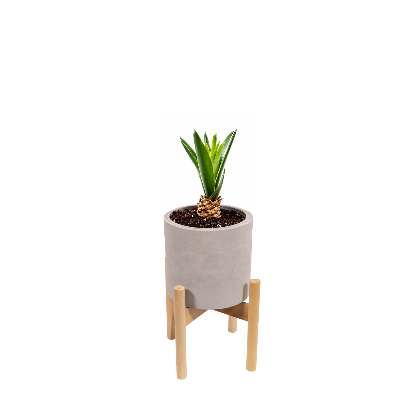 Blumentopf aus Zement – rund, Natural Color, mit Holzständer