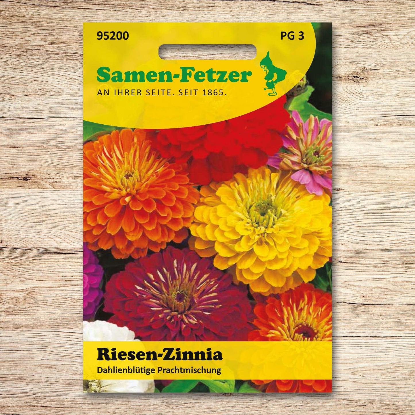 Riesen-Zinnia Dahlienblütige Prachtmischung