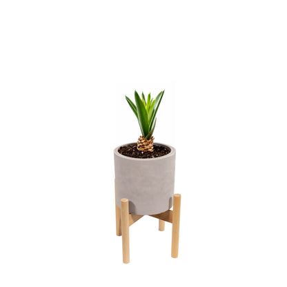 Blumentopf aus Zement – rund, Natural Color, mit Holzständer