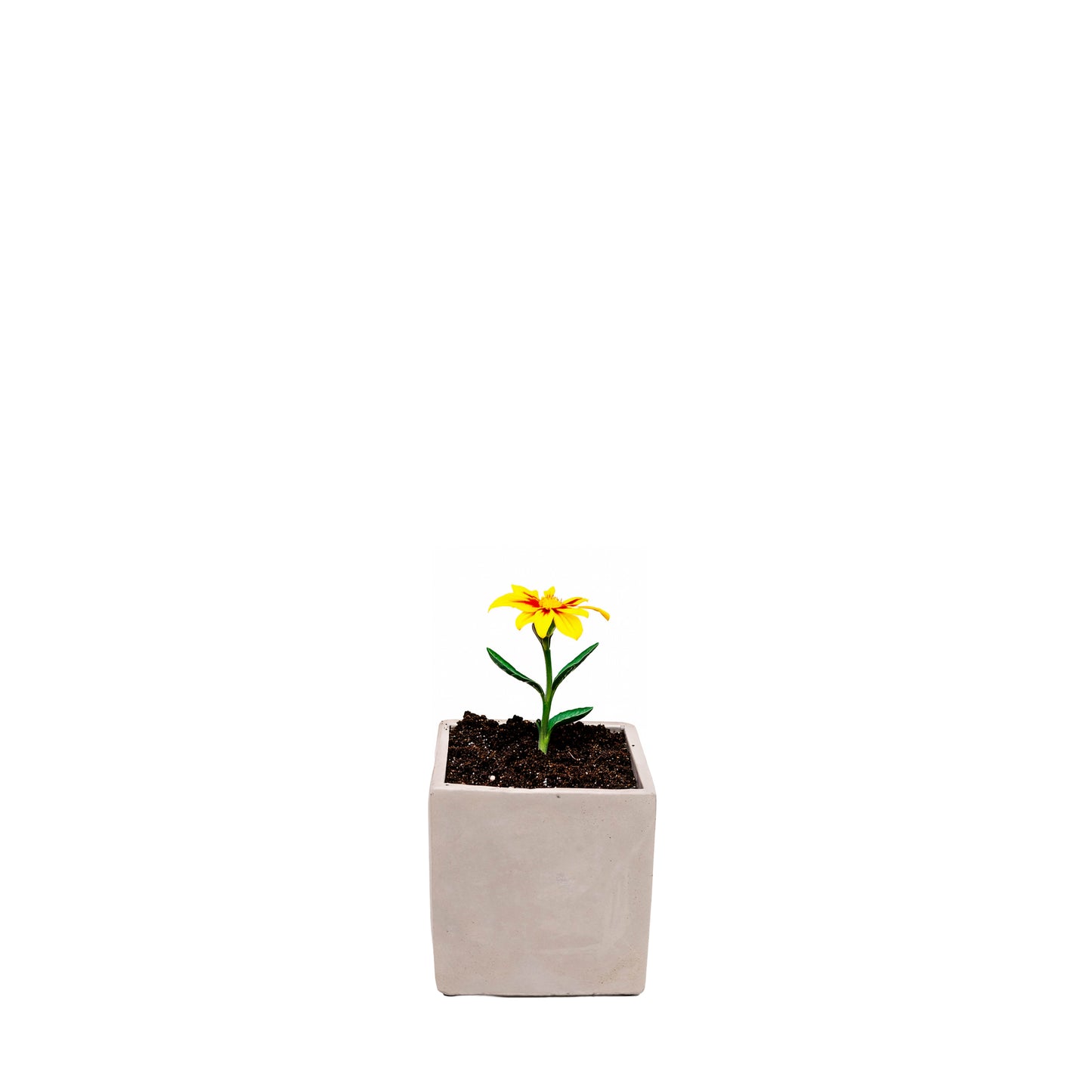 Blumentopf aus Zement – Natural Color, eckig, für den Außenbereich