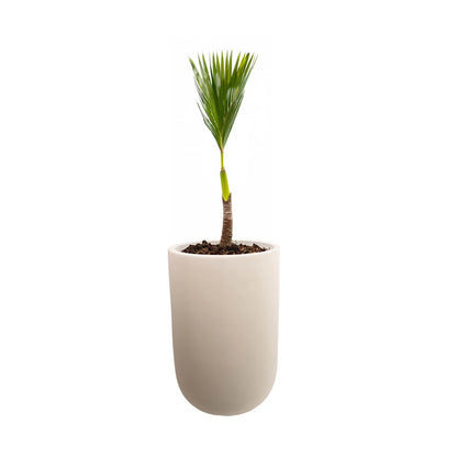 Blumentopf aus Zement – Light Grey